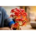 LEGO  Botanicals      (10348)