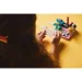  LEGO Creator     (31169)