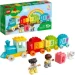  LEGO Duplo.   -  (10954)