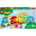  LEGO Duplo.   -  (10954)