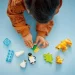  LEGO DUPLO Town   :    (10442)