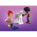 LEGO  Friends   ̳    41717