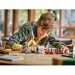  LEGO Harry Potter     350  (76426)