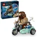  LEGO Harry Potter       (76443)