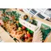  LEGO Ideas   (21353)
