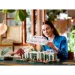 LEGO Ideas   (21353)