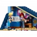  LEGO Friends      (42620)