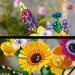  LEGO Icons    (10313)