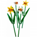  LEGO Botanical  (40747)