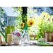  LEGO Icons SUNFLOWERS(  ) (40524)