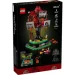  LEGO Ideas   (21346)