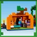  LEGO Minecraft   (21248)