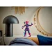 LEGO  Super Heroes    :    (76316)