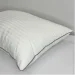  LeLit  Tendre 5070 (le2000000287744)