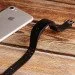- Lemfo P3 Plus Black