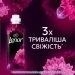 Lenor      1,239 