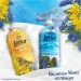 Lenor     1,239 