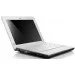  Lenovo IdeaPad S100-N435F-2 Flower Yellow (59-312011)