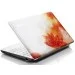  Lenovo IdeaPad S100-N435F-2 Flower Yellow (59-312011)