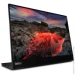  Lenovo M14t Gen2 (63FDUAT6WL)