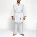ʳ Leone    AB400    ,  170  ( )