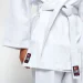 ʳ Leone    AB400    ,  180  ( )