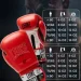 Leone   GN208 ICONIC GN208_Red_10oz 10  (  )