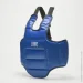  Leone    PR336 Blue/Red