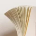  Leuchtturm1917 120G Edition  -   (372382)