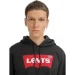  Levis LOGO HOODIE (384240001-L)