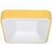  Levistella    752L61 YELLOW