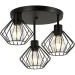   Levistella752102-3(108) BK 