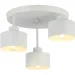   Levistella752102-3(187) WH 