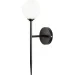     Levistella999W2502F-1(100) BK+ WH,  