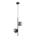  ,  Levistella 7521015-2 BK+ BK ,  