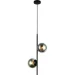  ,  Levistella 7521015-2 BK+ BK ,  
