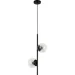  ,  Levistella 7521015-2 BK+ CL ,  