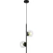  ,  Levistella 7521015-2 BK+ CL ,  