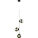  ,  Levistella 7521015-3 BK+ BK ,  