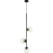  ,  Levistella 7521015-3 BK+ CL ,  