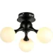   Levistella 7529817-3 BK+ WH ,  