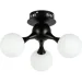   Levistella 7529817-3 BK+ WH ,  