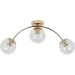    Levistella 7529907-3 GOLD+ CL ,  
