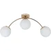   Levistella 7529907-3 GOLD+ WH ,  