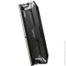  ' Lexar 32GB DDR5-6000 (LD5U16G60C320A-RGD)