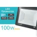 Lezard   100  IP65  LXPAL65100N