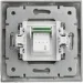 Lezard   Deriy TF- -  702-2929-137