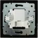  Lezard   HDMI Vesna  742-4288-203