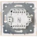  Lezard    Mira      701-5252-106