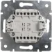 Lezard      Rain    703-0288-107